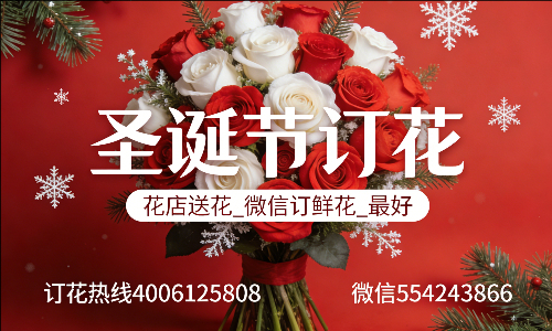 ���ݸ���������