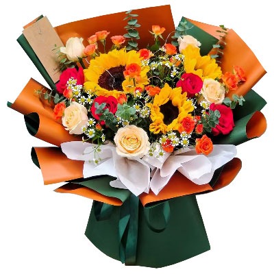 ���ݸ���������